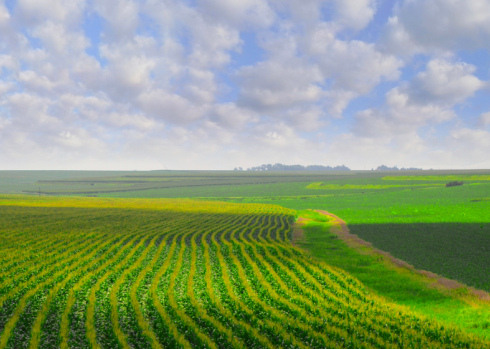 Produits agricoles les plus précieux de chaque État 