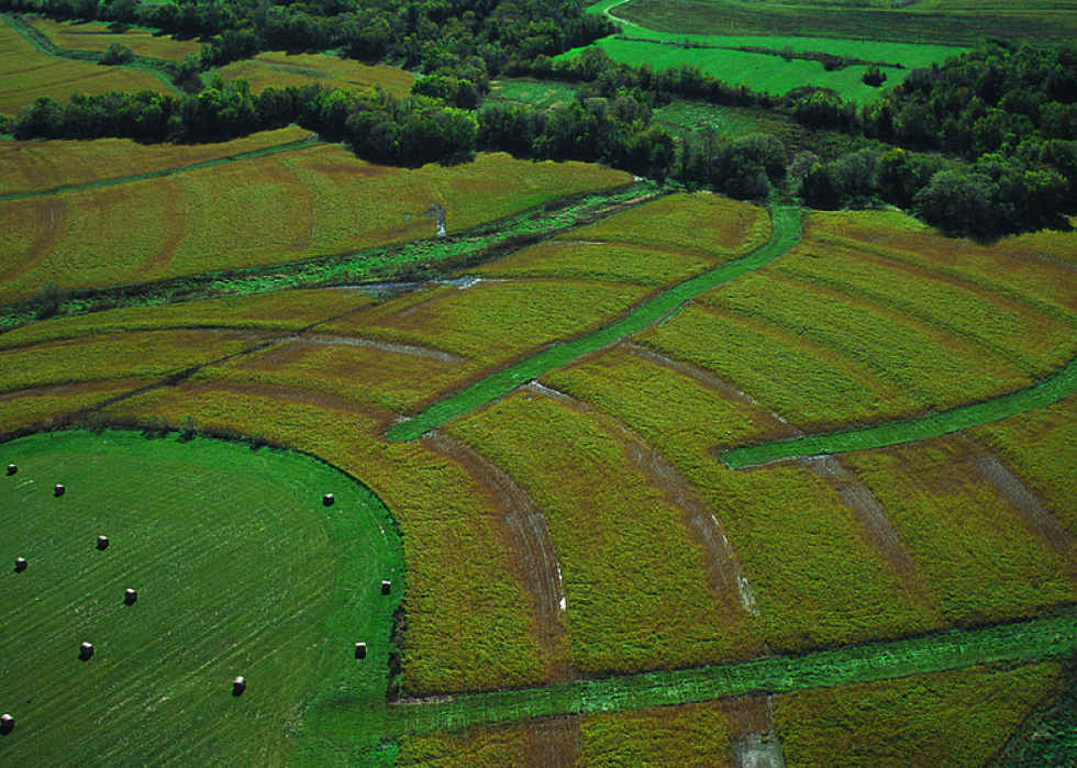 Produits agricoles les plus précieux de chaque État 