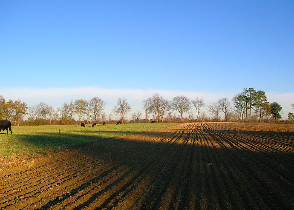 Produits agricoles les plus précieux de chaque État 