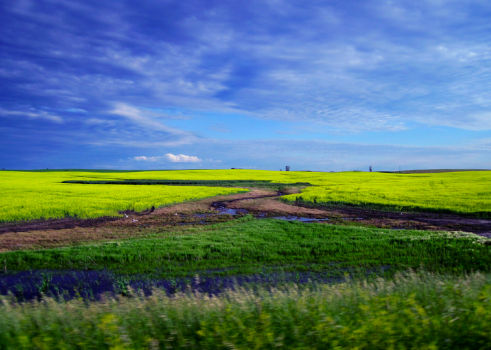 Produits agricoles les plus précieux de chaque État 