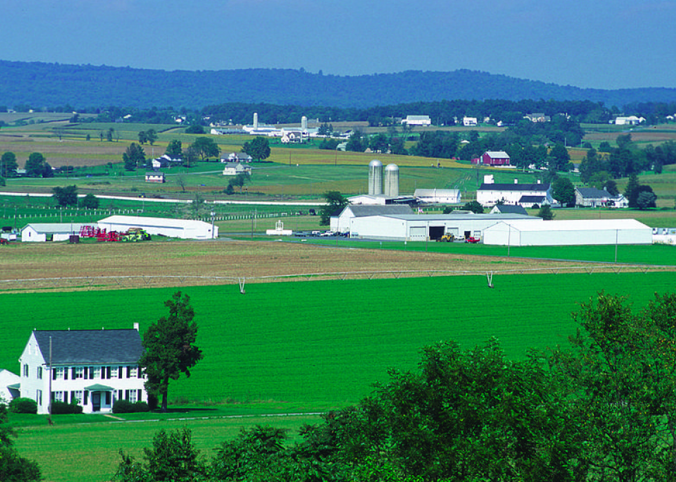 Produits agricoles les plus précieux de chaque État 