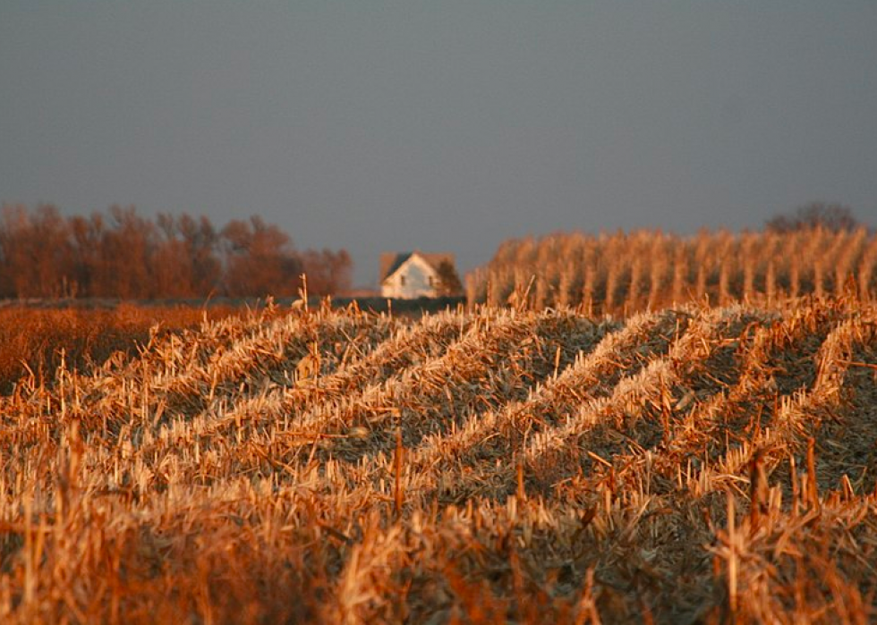 Produits agricoles les plus précieux de chaque État 