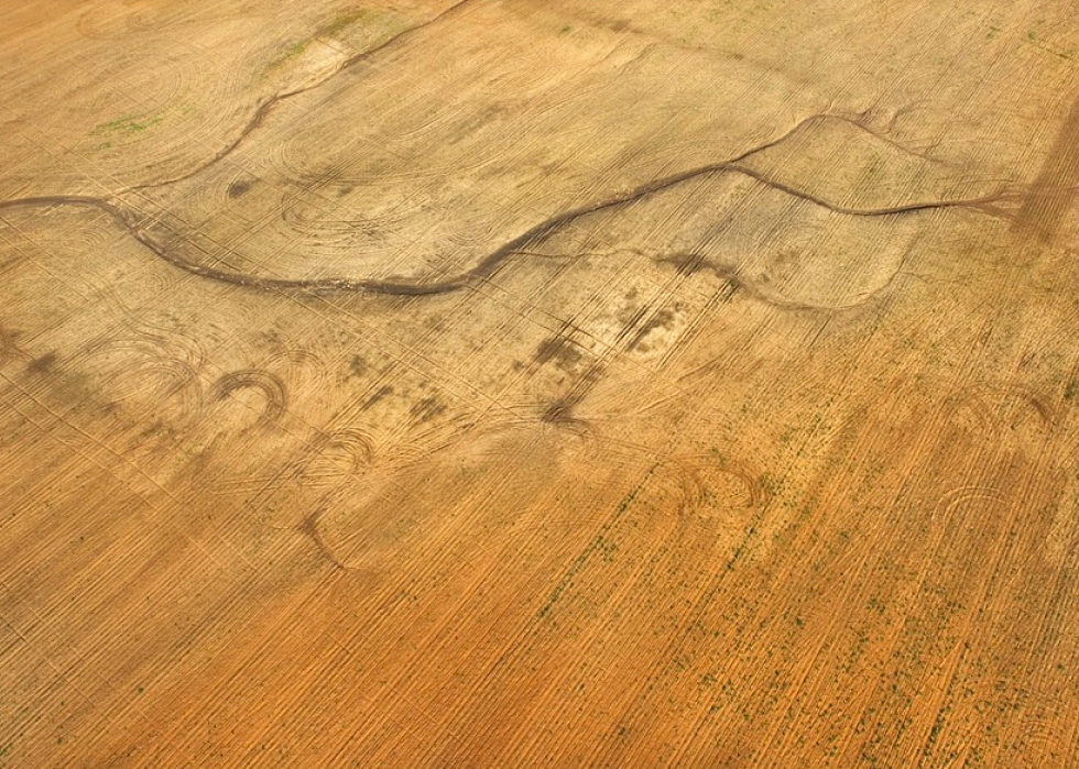 Produits agricoles les plus précieux de chaque État 