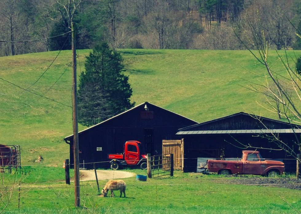 Produits agricoles les plus précieux de chaque État 