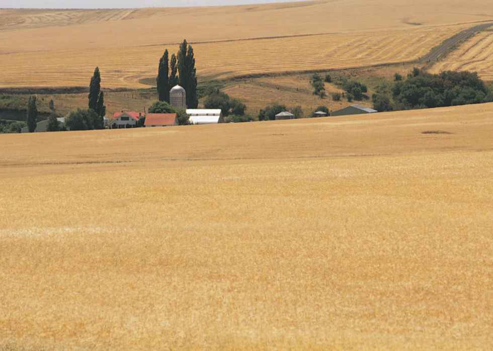 Comment chaque État utilise ses terres 