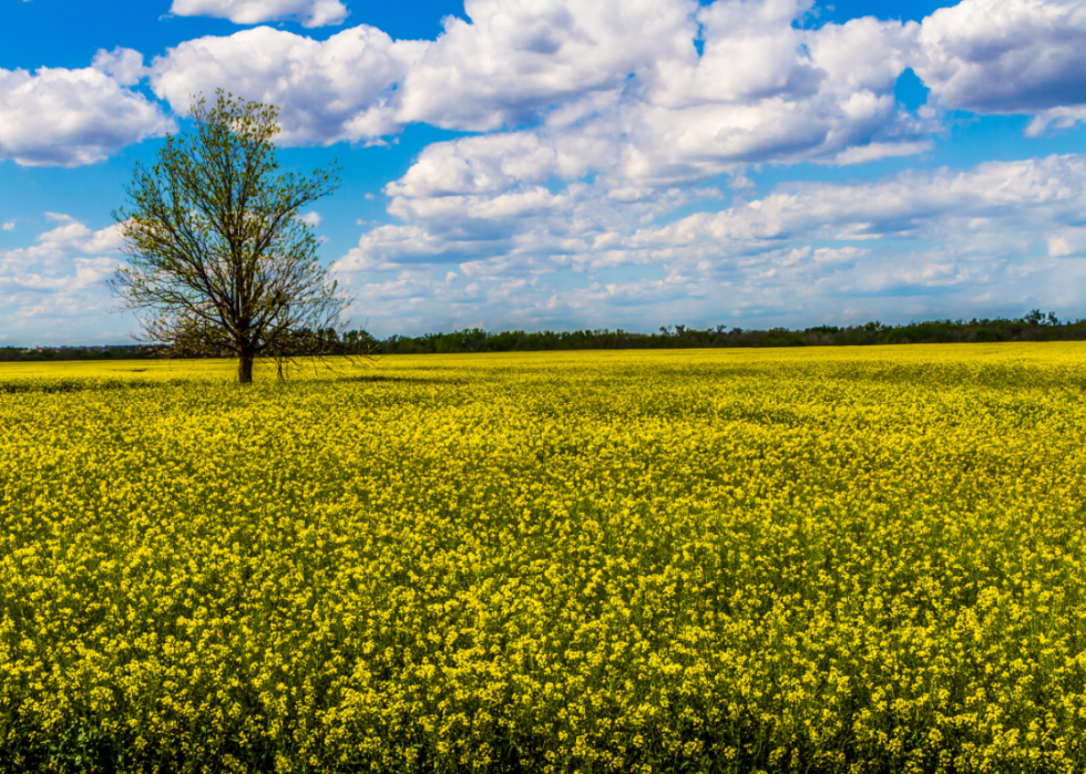 Comment chaque État utilise ses terres 