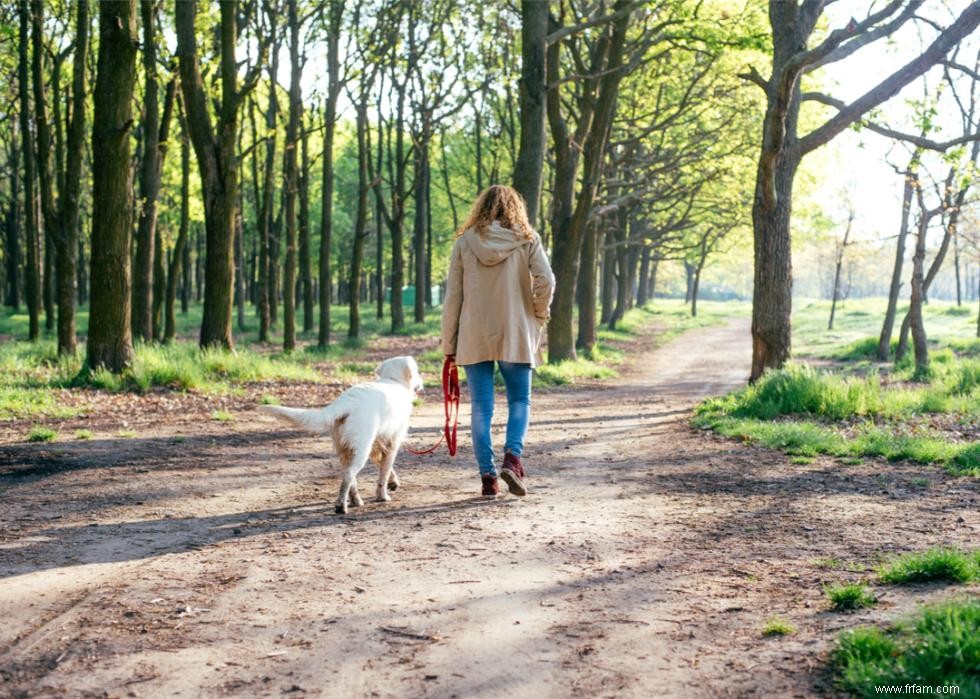 Les meilleures petites villes où vivre à travers l Amérique 