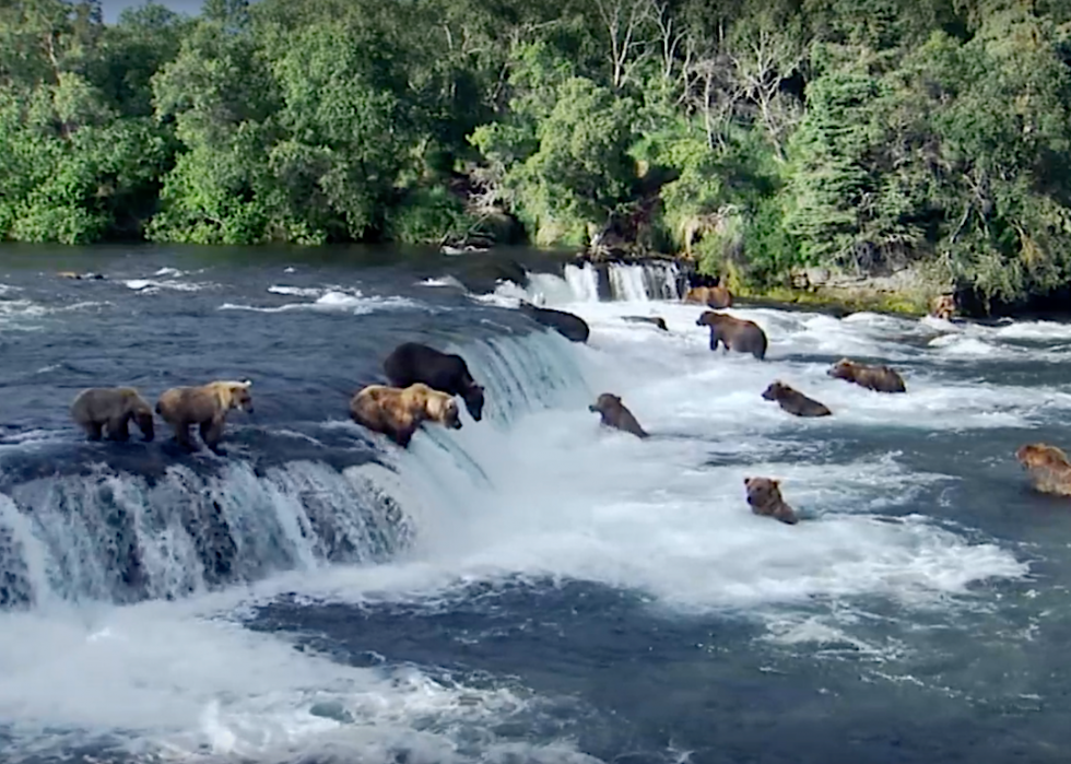 30 meilleurs documentaires sur la nature de tous les temps 