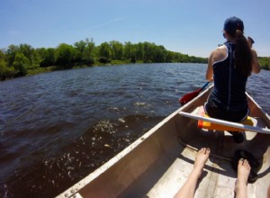 États américains les plus et les moins sains 