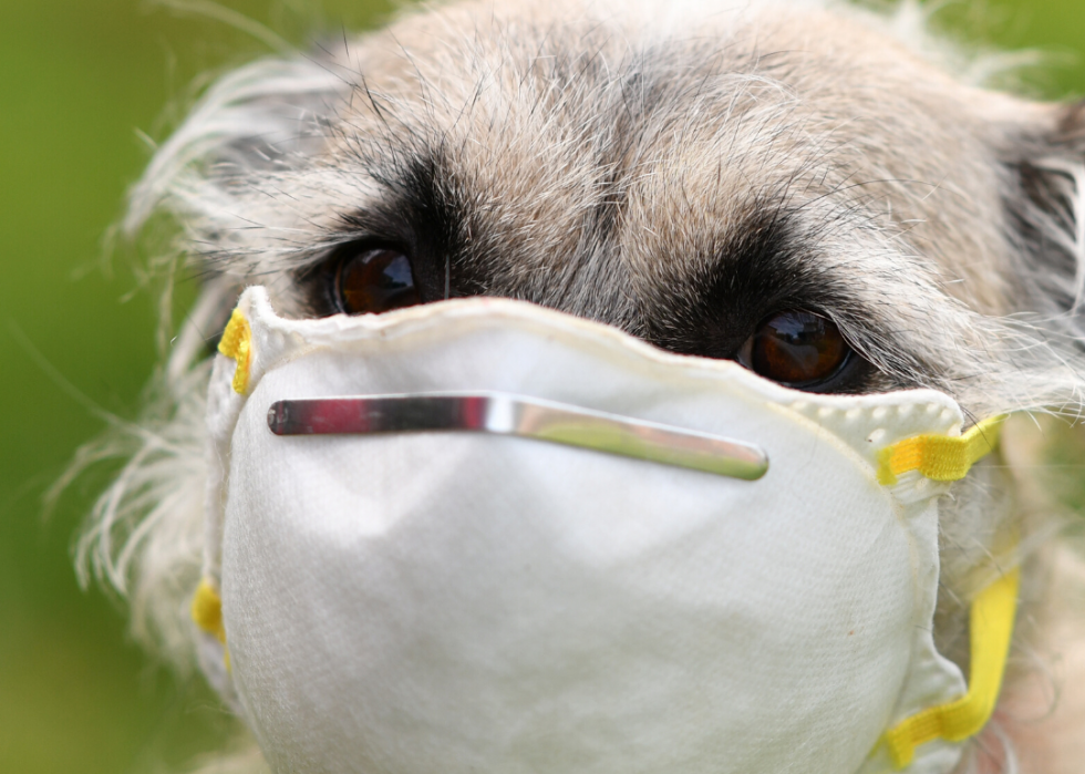 Démystifier 50 mythes sur le COVID-19 