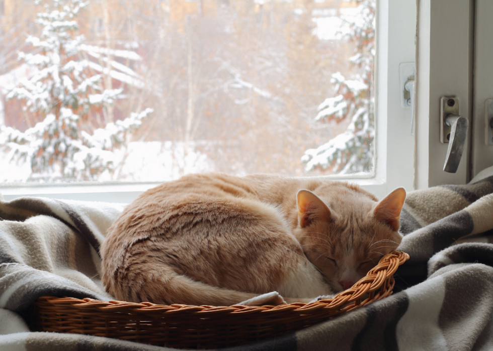 Préparer l hiver en 30 étapes 