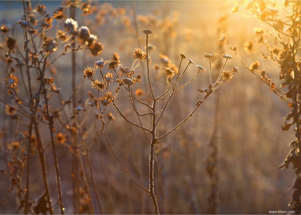 Envie de blues hivernal ? Voici quelques raisons 