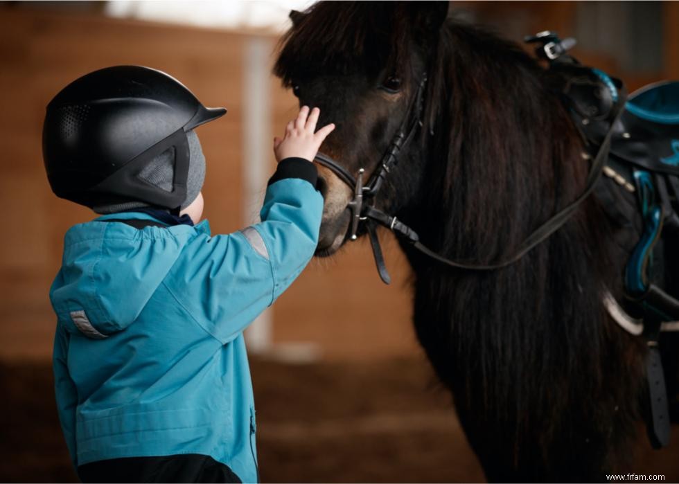 Du cheval au jeu :10 thérapies non traditionnelles 