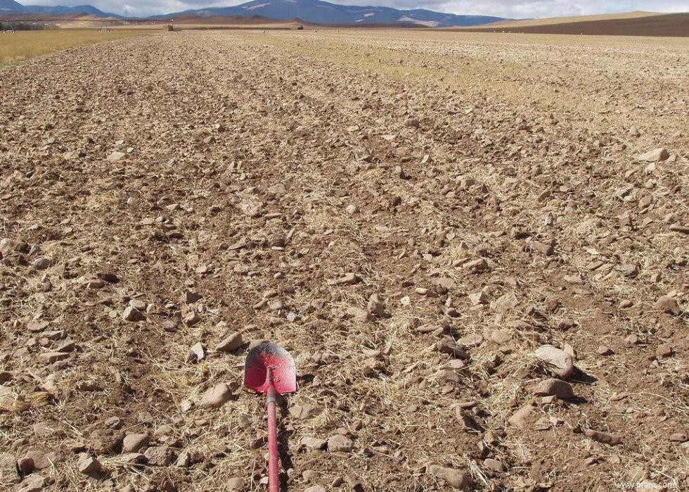 États qui utilisent la politique pour lutter contre le changement climatique 