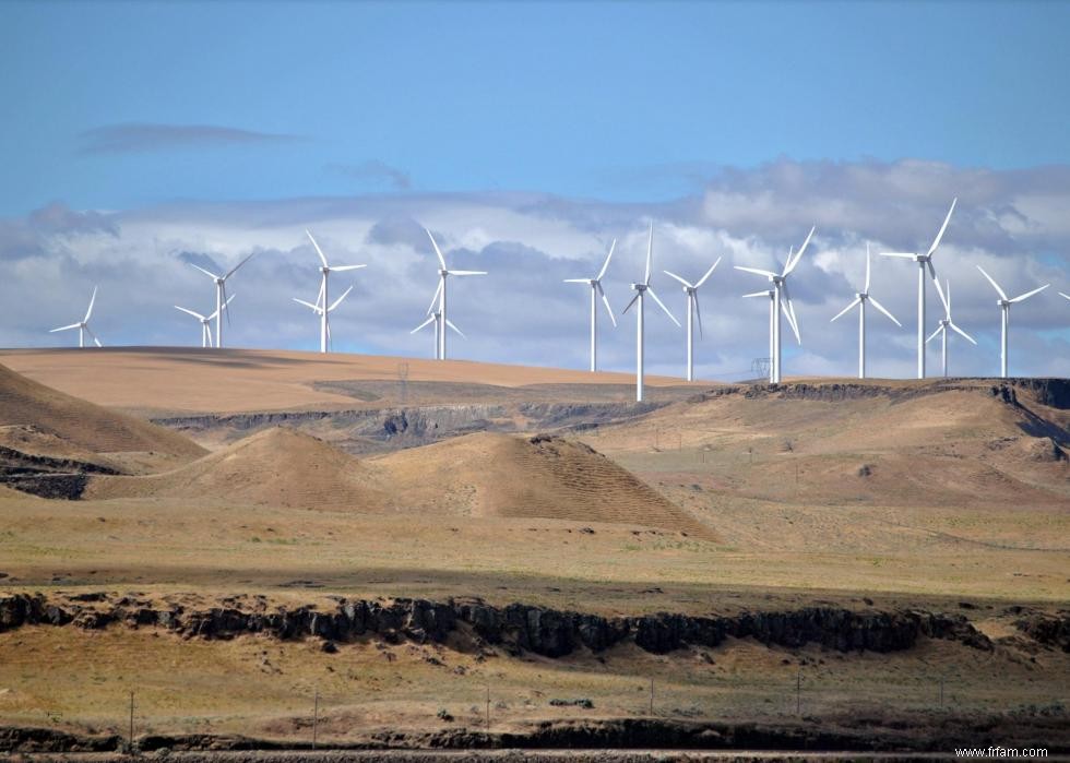 États qui utilisent la politique pour lutter contre le changement climatique 