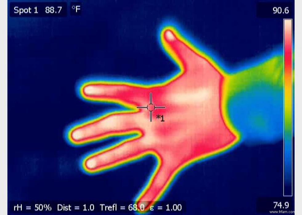 Les mythes scientifiques populaires démystifiés 