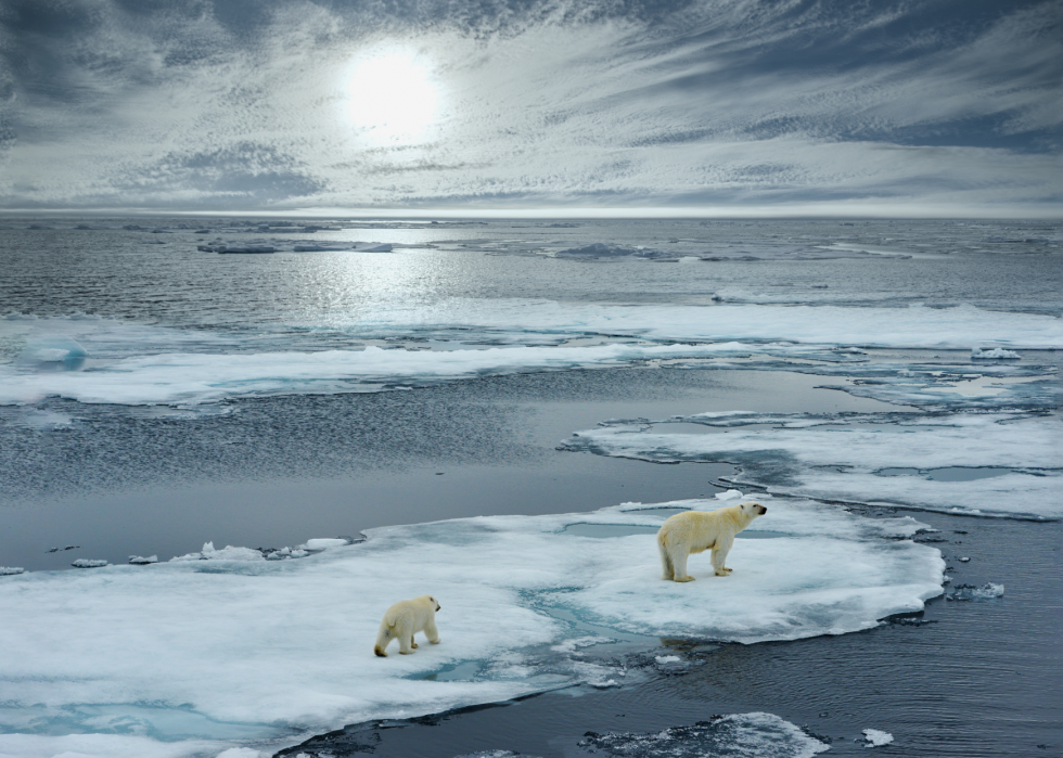 25 termes que vous devez connaître pour comprendre la conversation sur le changement climatique 