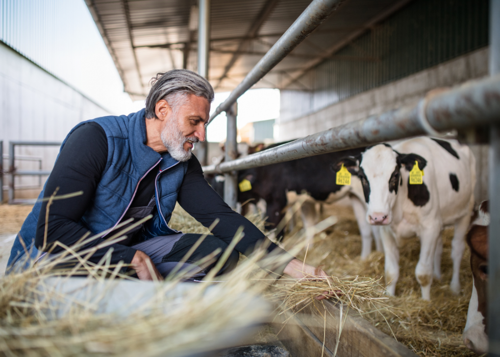 Top 10 des aliments les meilleurs et les pires pour l environnement 