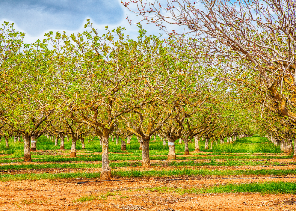 Top 10 des aliments les meilleurs et les pires pour l environnement 