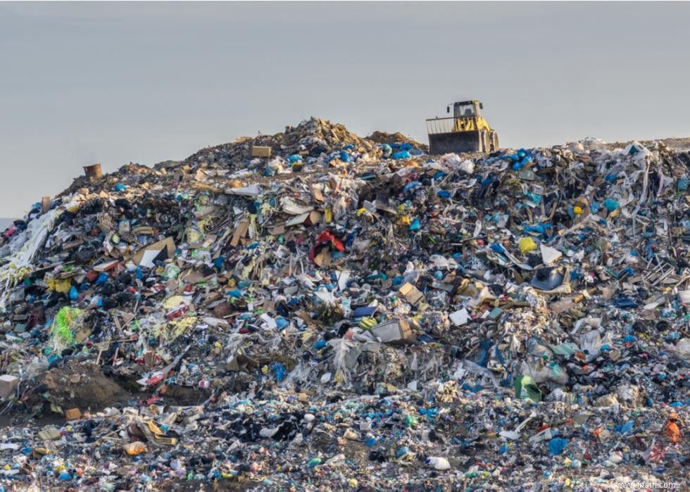 L impact environnemental des couches jetables 