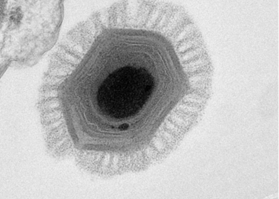 Des atomes aux trous noirs :l échelle de l univers et comment nous nous y inscrivons 