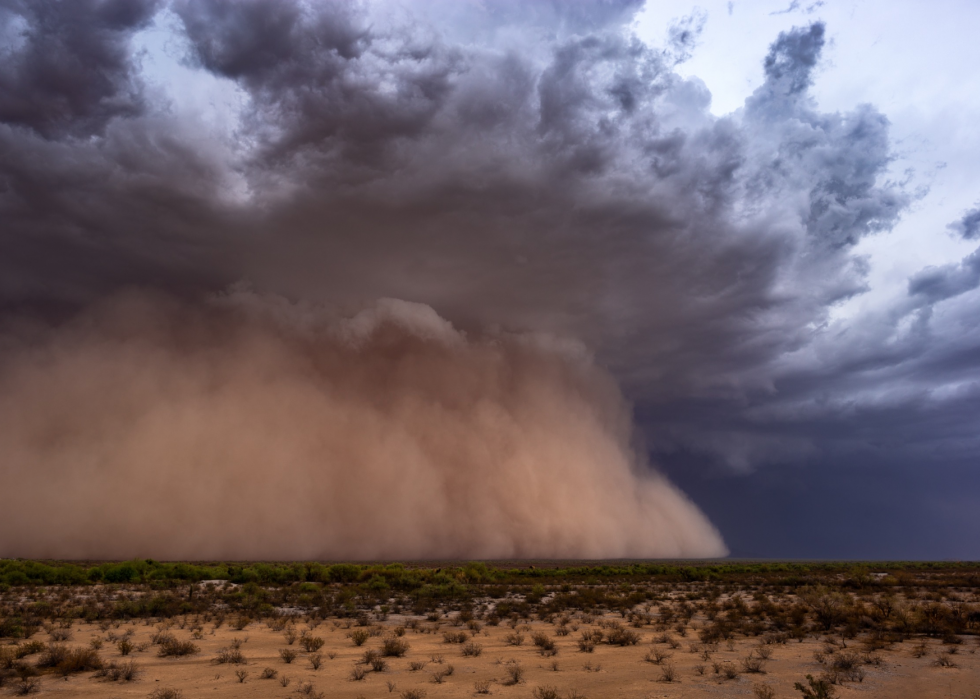 Pourquoi la foudre frappe-t-elle ? Et des réponses à 50 autres questions météo 