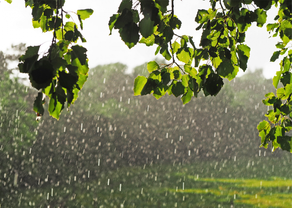 Pourquoi la foudre frappe-t-elle ? Et des réponses à 50 autres questions météo 