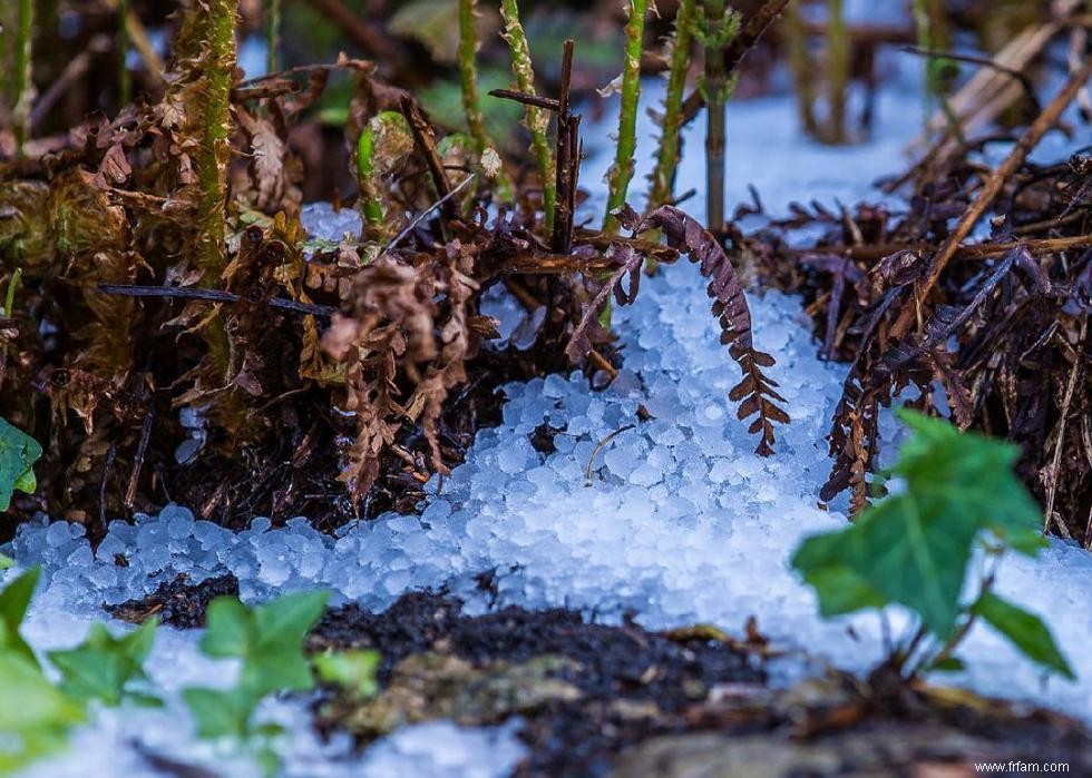 30 des tempêtes de grêle les plus dévastatrices de l histoire des États-Unis 