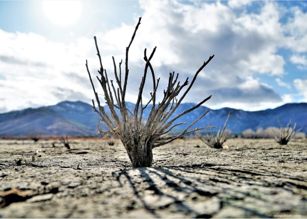 Comment le changement climatique affecte les conditions météorologiques extrêmes à travers l Amérique 