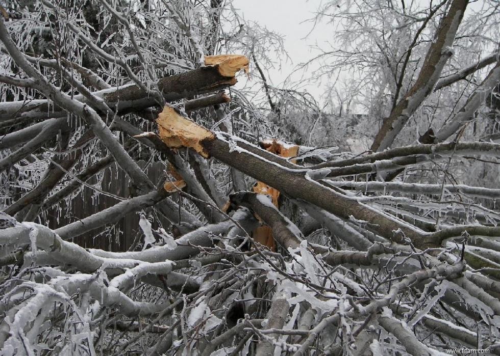 Que faire après une tempête hivernale 