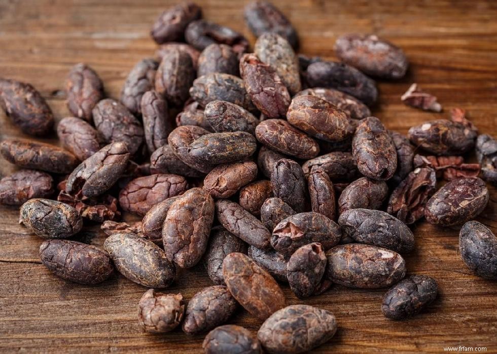 Où l Amérique obtient son cacao et 20 autres importations agricoles 