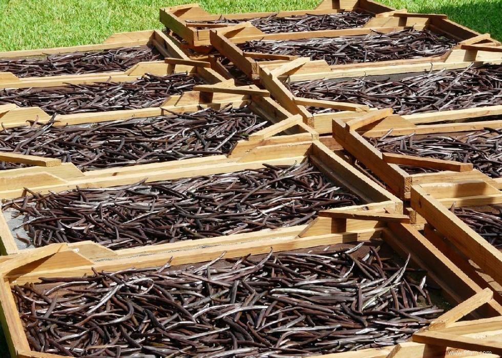 Où l Amérique obtient son cacao et 20 autres importations agricoles 