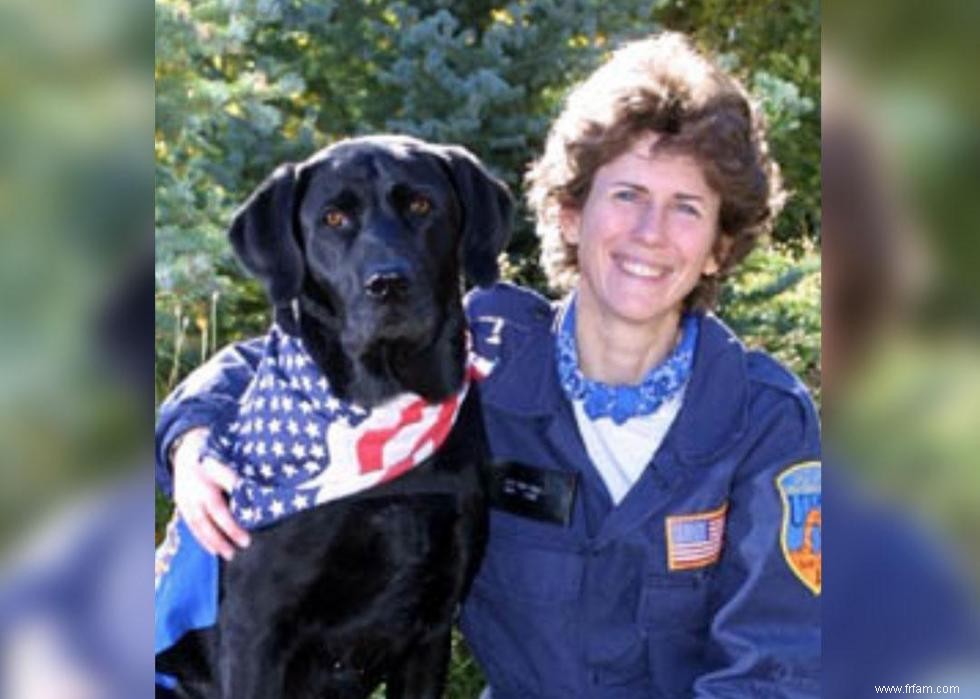 30 histoires courageuses de compagnons K-9 