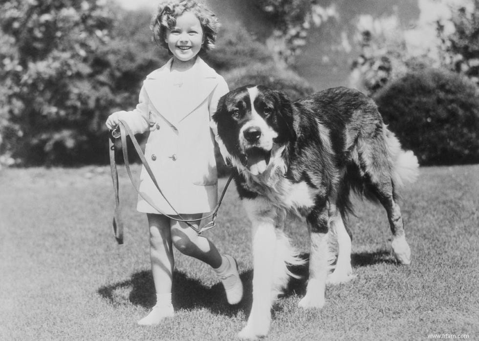 Photos vintage des races de chiens les plus populaires d Amérique 