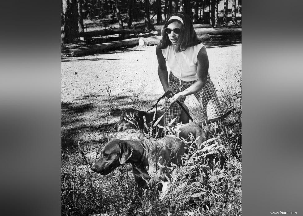 Photos vintage des races de chiens les plus populaires d Amérique 