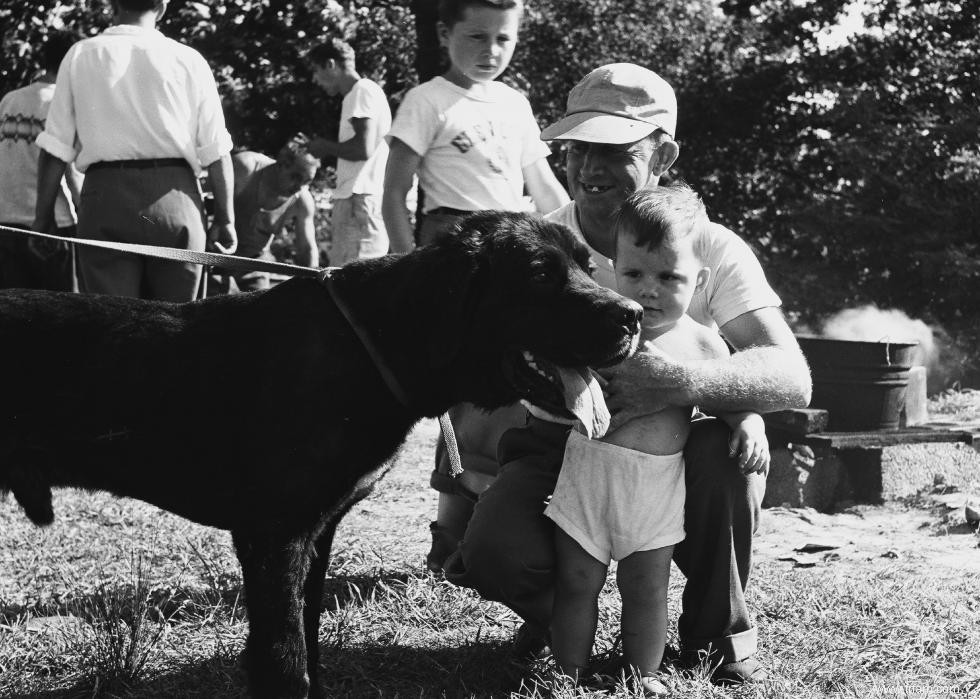 Photos vintage des races de chiens les plus populaires d Amérique 