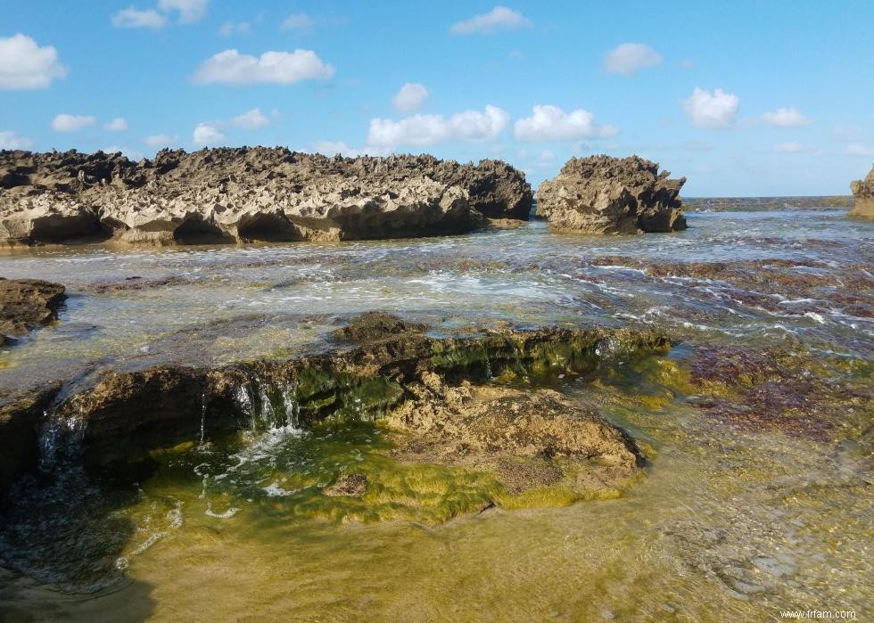 Qualité de l eau sur les plages américaines 