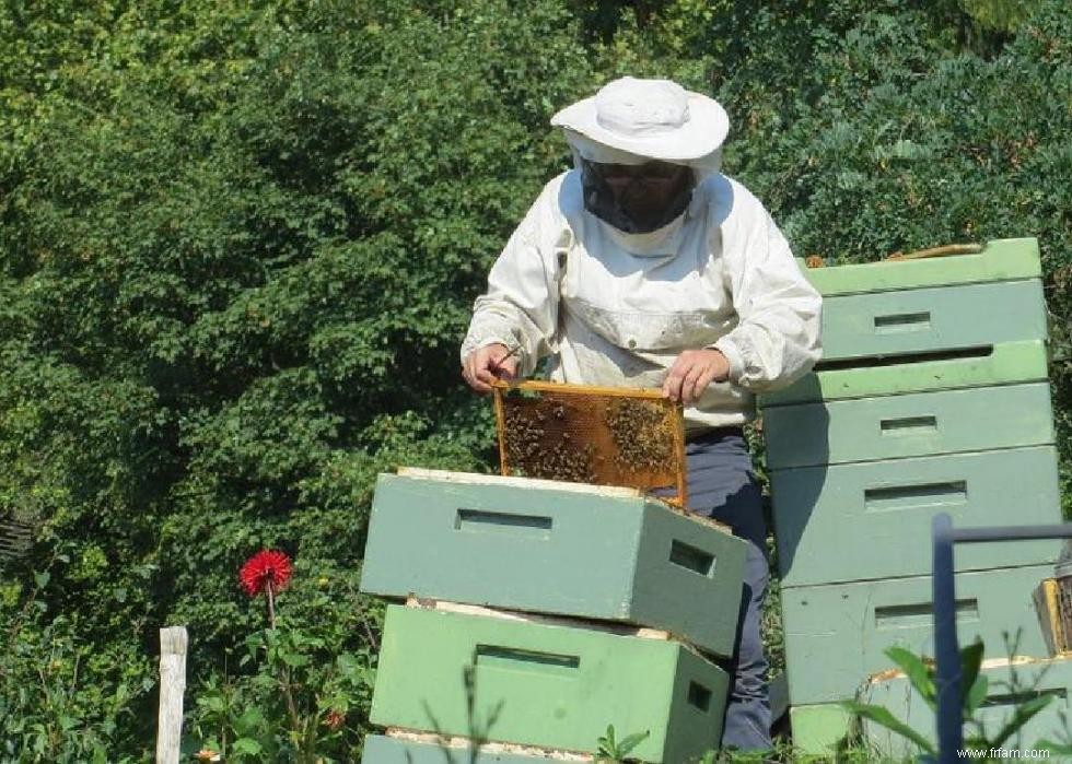 Chances que 50 événements aléatoires vous arrivent 