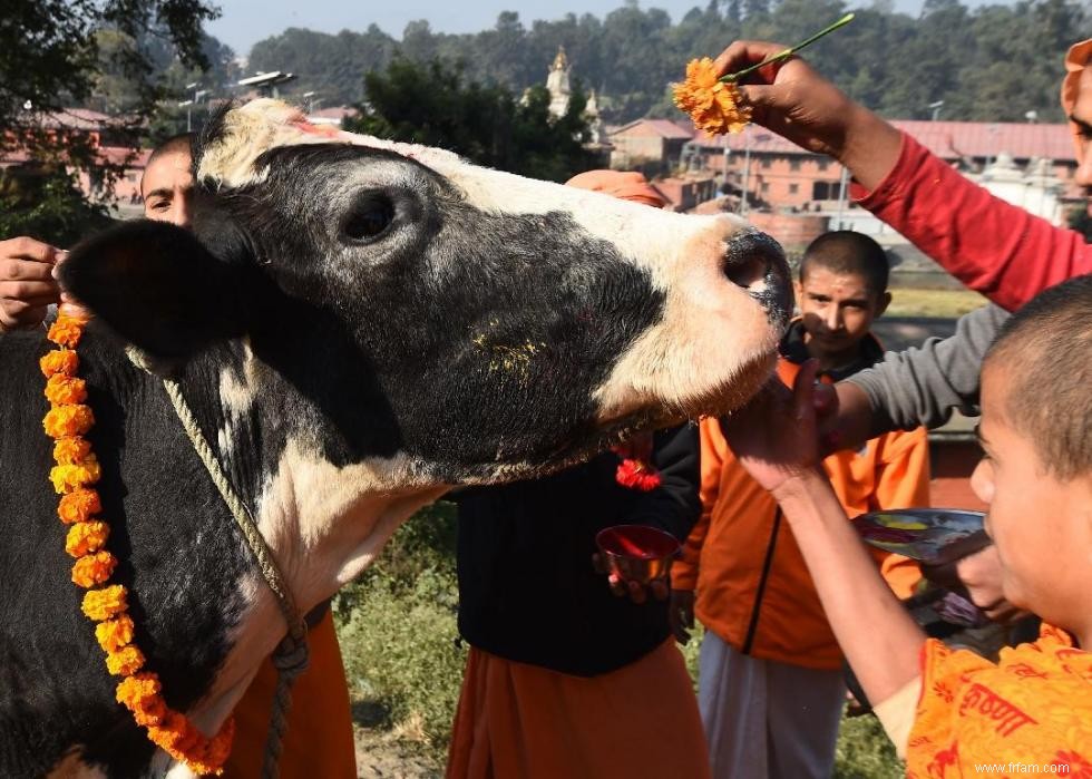 Diwali exploré en 20 images époustouflantes 