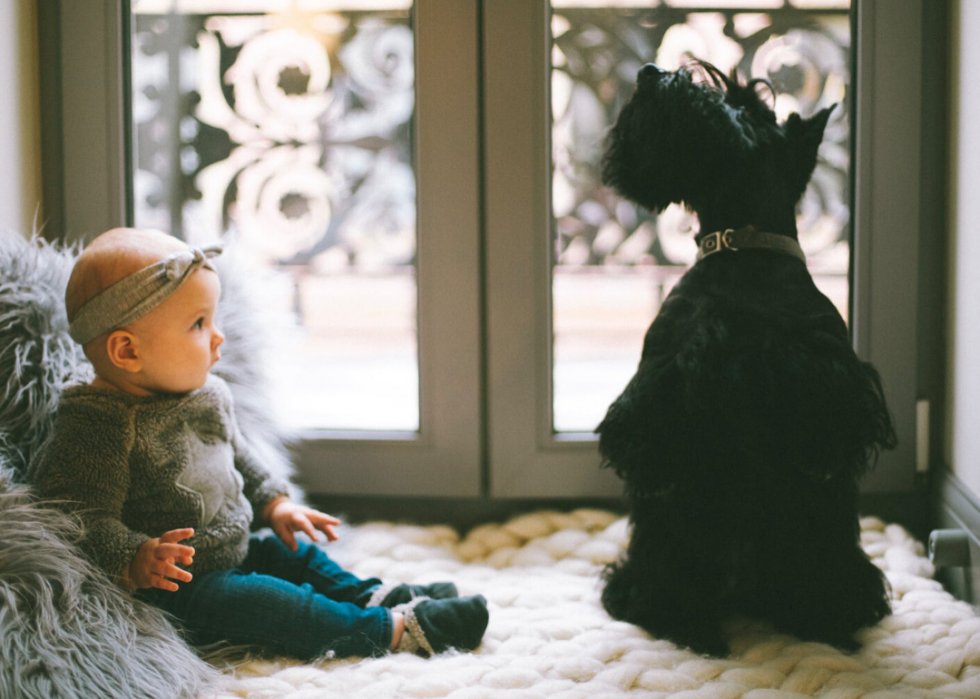 Les noms de bébé qui ont perdu le plus de popularité l année de votre naissance 