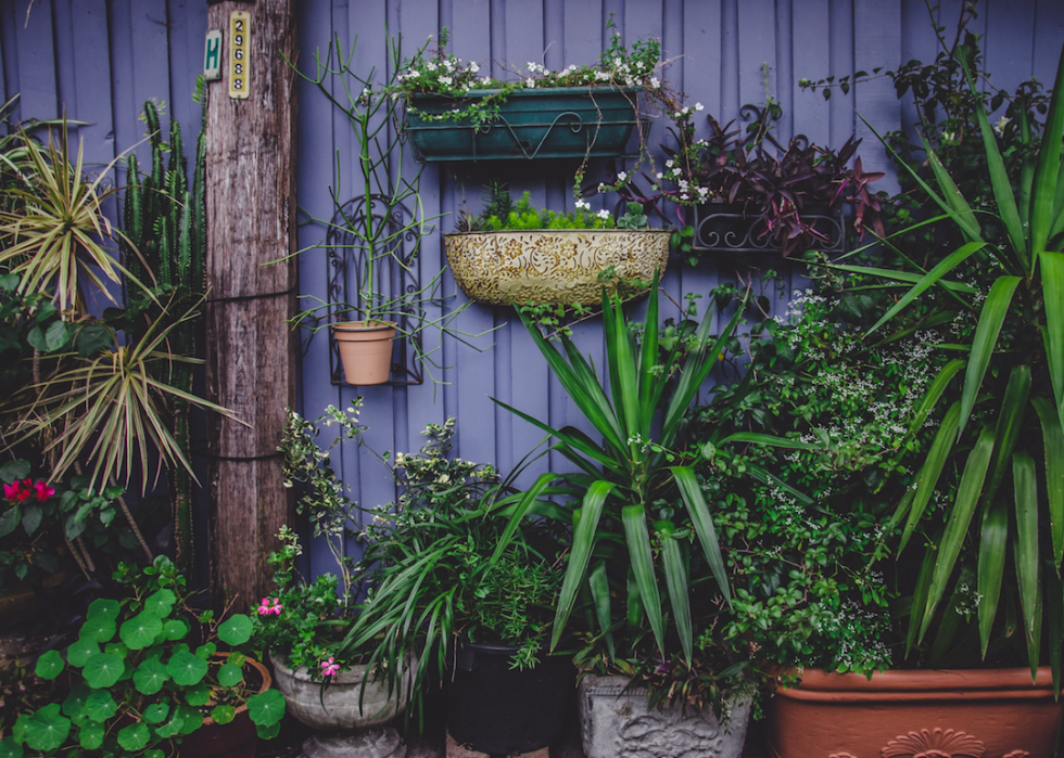 25 conseils pour le jardinage urbain 