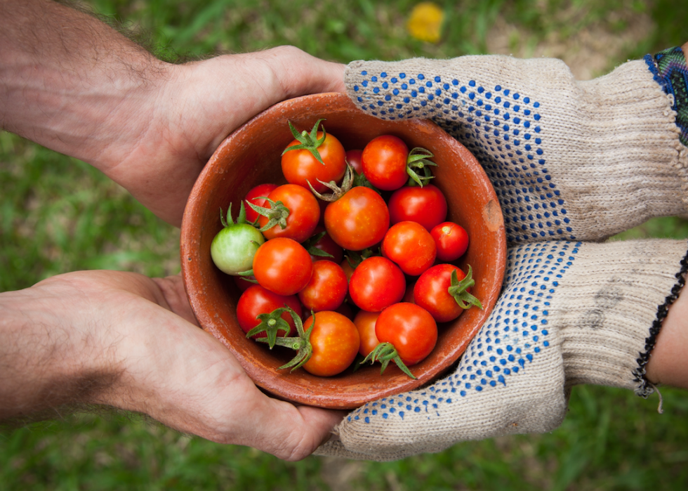 25 conseils pour le jardinage urbain 