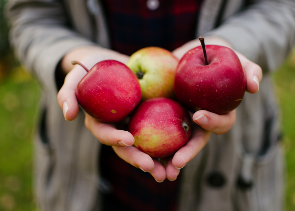 Des superaliments utilisés par d autres cultures depuis des générations 