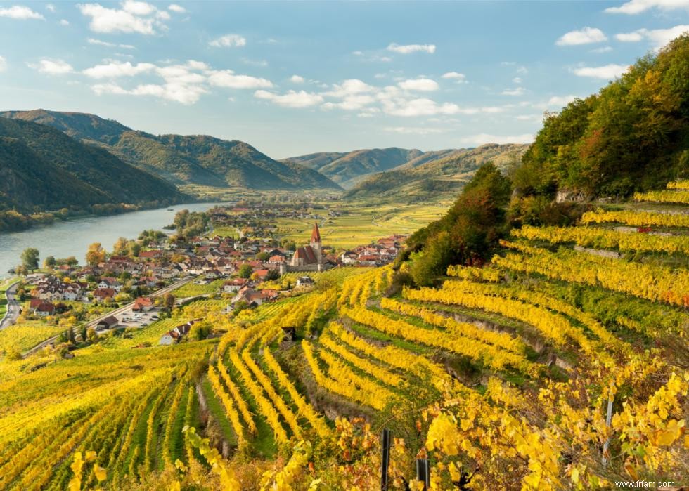 Caves et vignobles spectaculaires du monde entier 