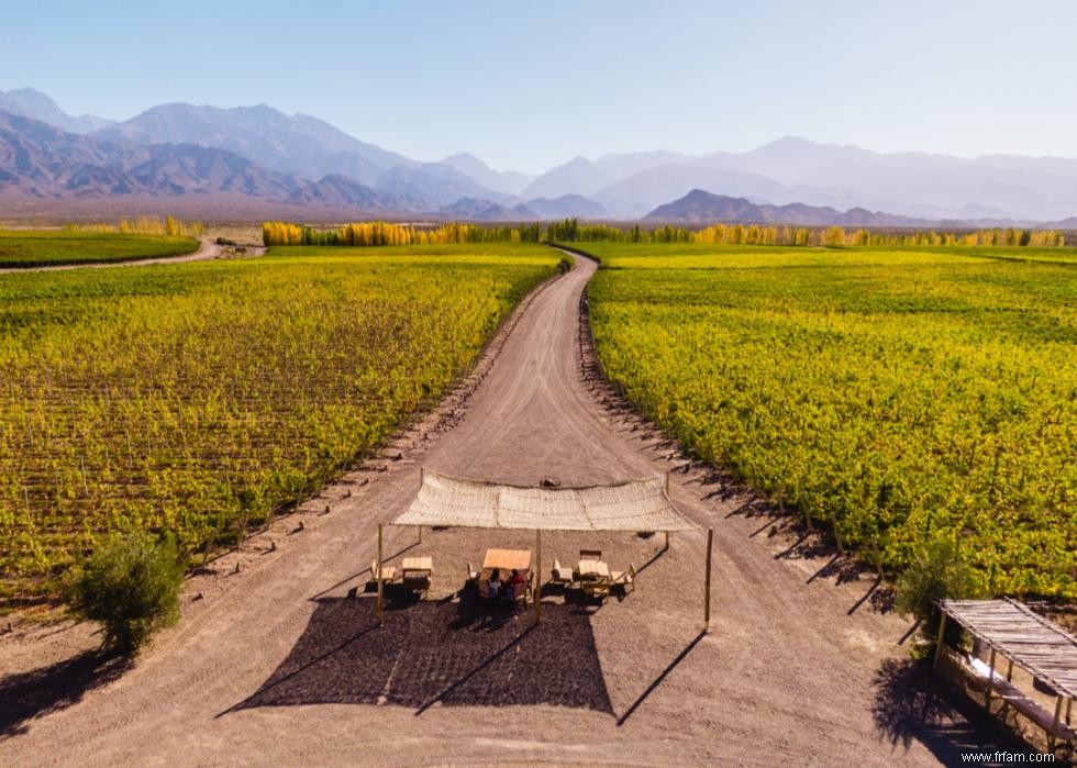 Caves et vignobles spectaculaires du monde entier 