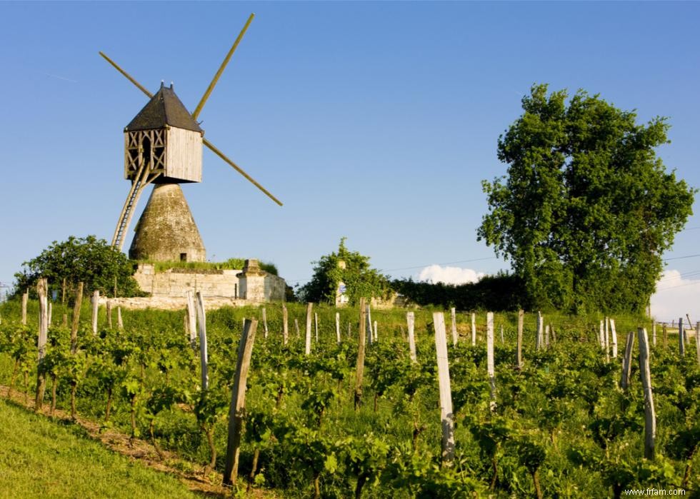 Caves et vignobles spectaculaires du monde entier 