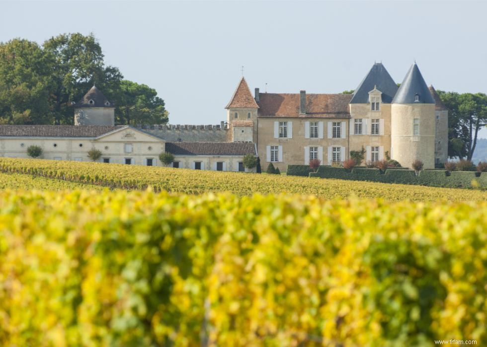 Caves et vignobles spectaculaires du monde entier 