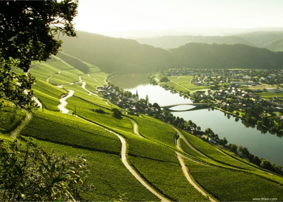 Caves et vignobles spectaculaires du monde entier 