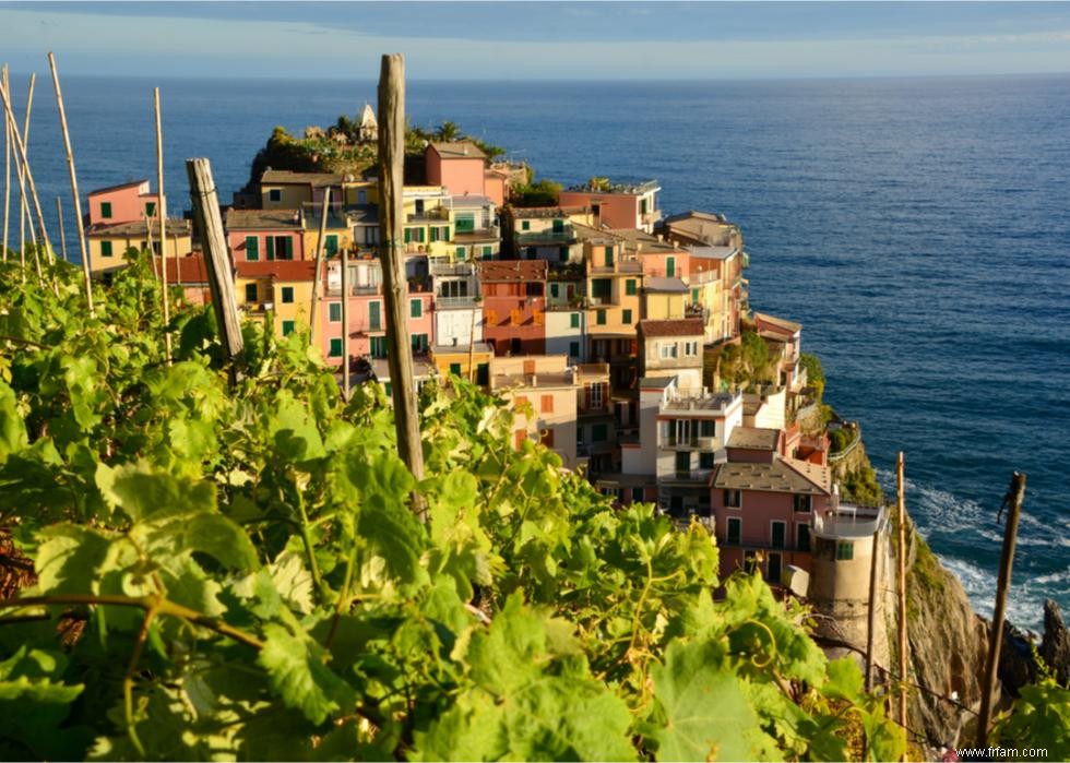 Caves et vignobles spectaculaires du monde entier 