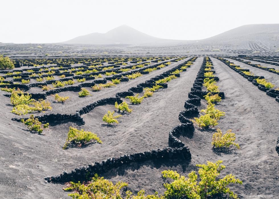 Caves et vignobles spectaculaires du monde entier 